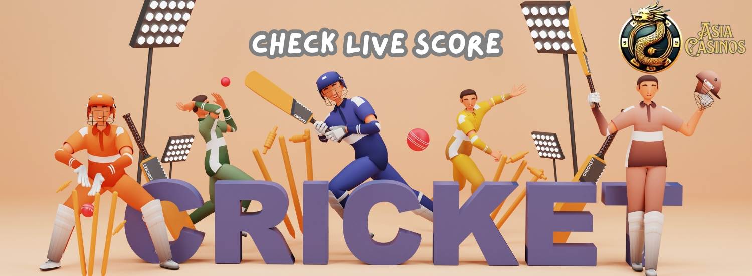 Cricket Live Score: A Destination for Real-Time Cricket Updates